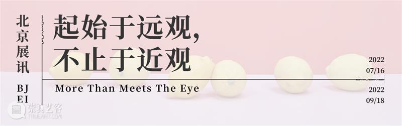 【PhoPho Fair】参展艺术家GOUPIXIAO,关于生命的微小寓言 崇真艺客