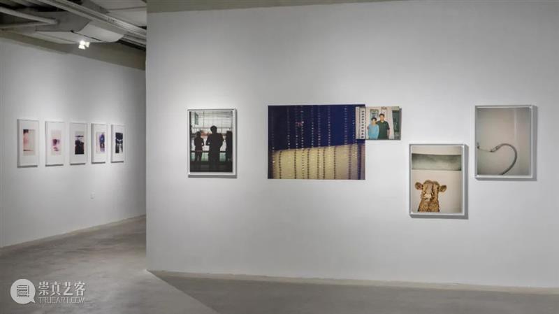 【征集】在三影堂做一场展览｜厦门 崇真艺客