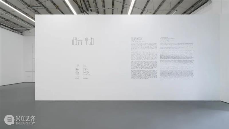 AIKE 现场 | 档案冲动：反叙事和反记忆的操练 崇真艺客