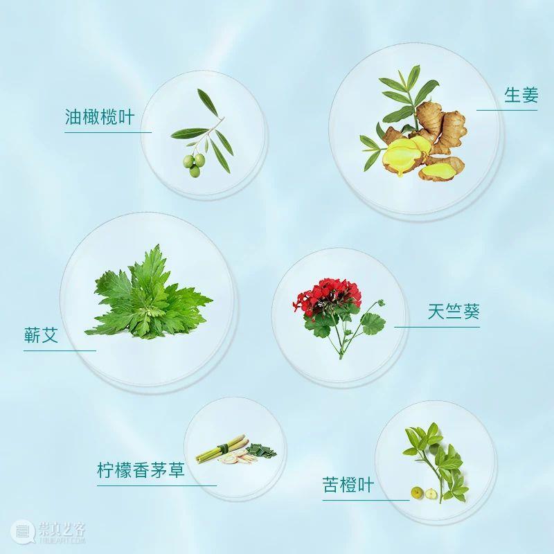 办公室少不了它!3秒钟的功夫让你high翻天,开车司机也能用呀~ 崇真艺客