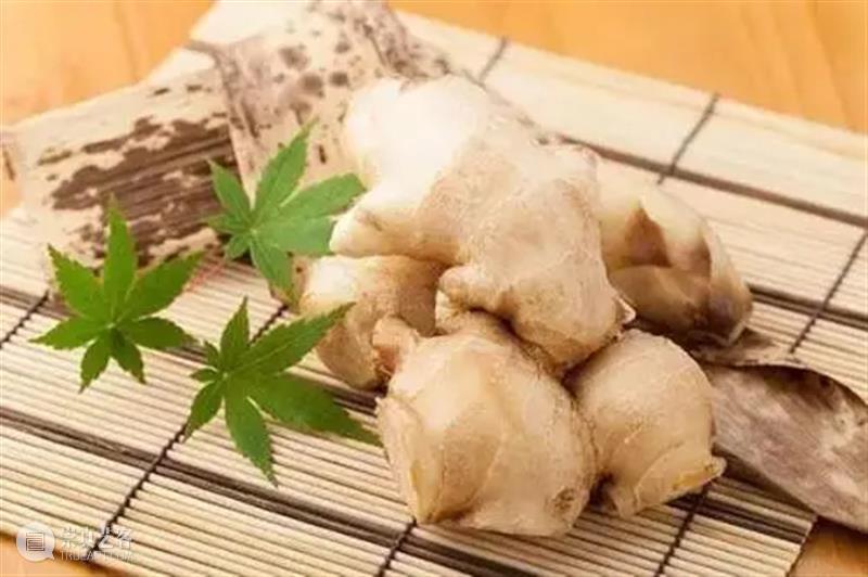 办公室少不了它!3秒钟的功夫让你high翻天,开车司机也能用呀~ 崇真艺客