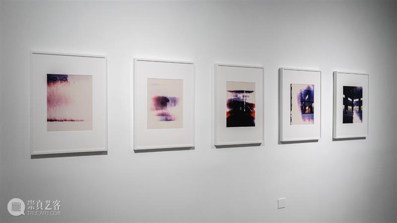 【专访】管若彤个展——杏桃花,蜂蜜|厦门 崇真艺客