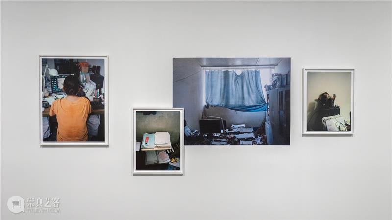 【专访】管若彤个展——杏桃花,蜂蜜|厦门 崇真艺客