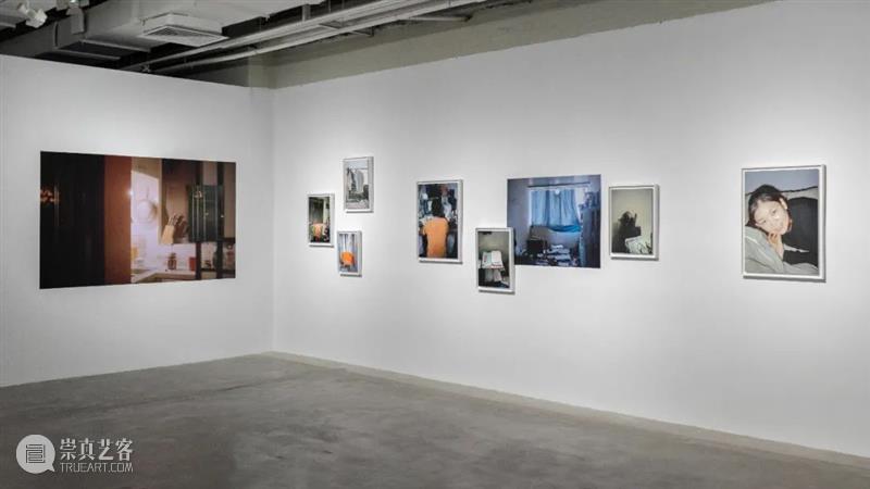 【专访】管若彤个展——杏桃花,蜂蜜|厦门 崇真艺客