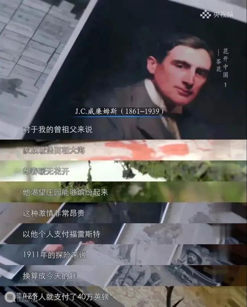 欧洲探险家的真面目到底是什么？ 崇真艺客