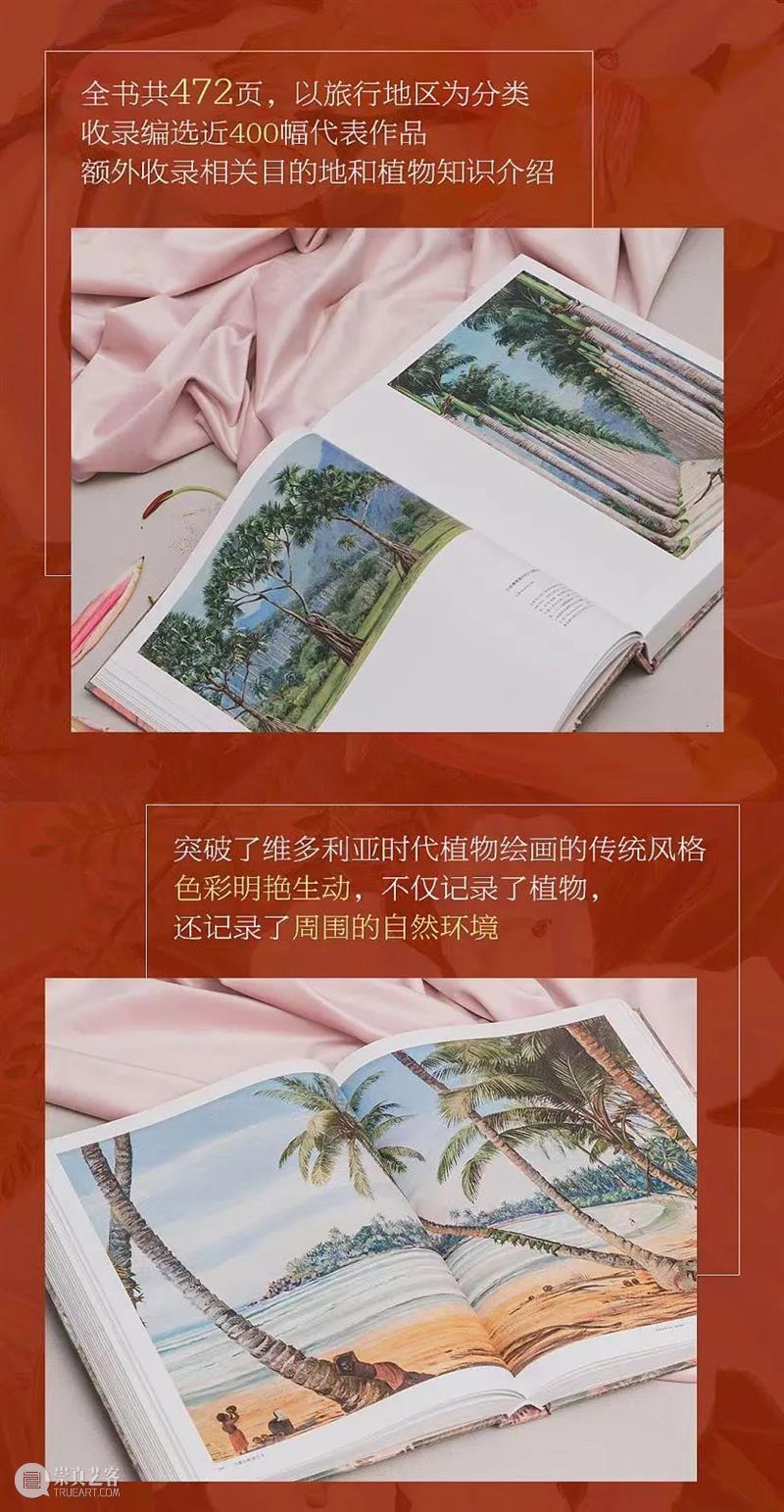 欧洲探险家的真面目到底是什么？ 崇真艺客