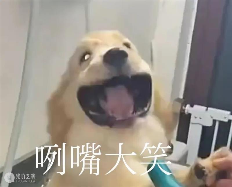 郑伊健新片《深宵闪避球》预告；《赛车总动员》新剧开播 崇真艺客