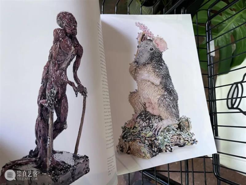 视觉书单|雕塑不仅是图像，更是实在的物体 崇真艺客
