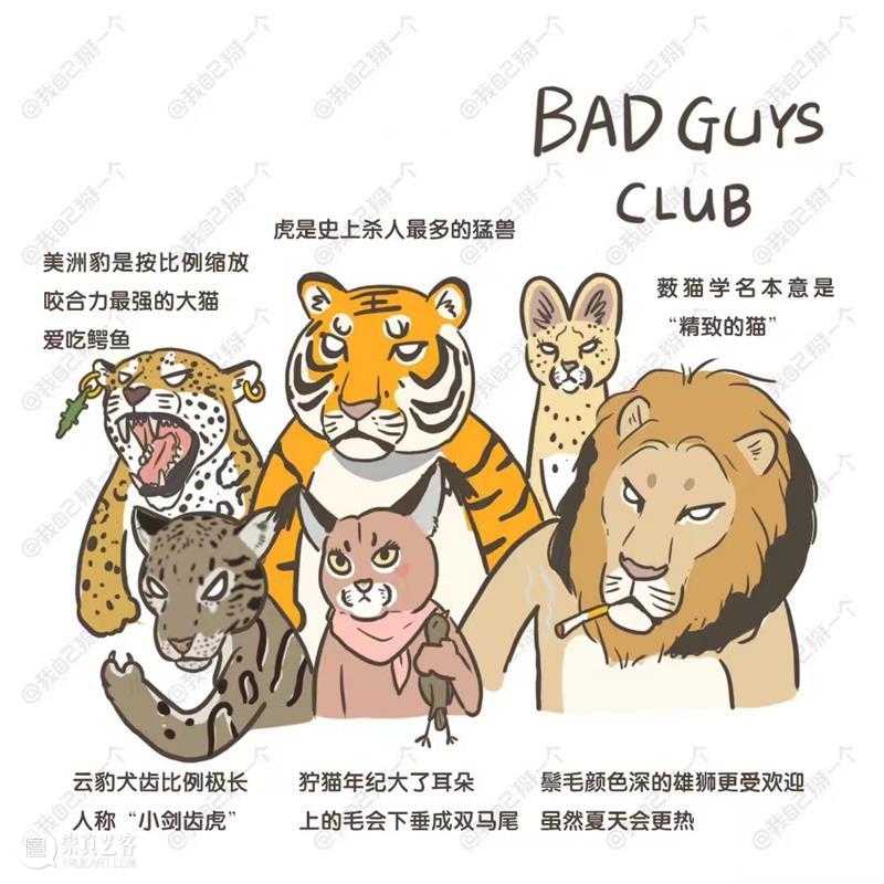 都让一让，最凶狠的坏蛋联盟来了 崇真艺客