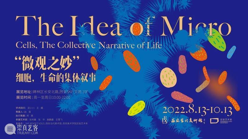 参展艺术家--貟鹏晨 | “微观之妙”⊙细胞,生命的集体叙事 崇真艺客