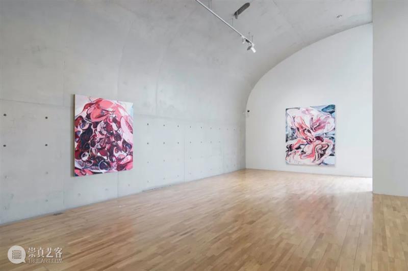 LONG×一条艺术 | 张子飘首个美术馆个展开放：女性柔软但强劲有力 崇真艺客
