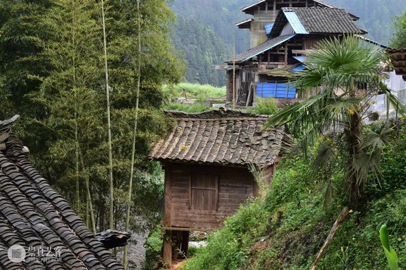 tm征集 | 百年禾仓，还有各种当代可能？ 崇真艺客