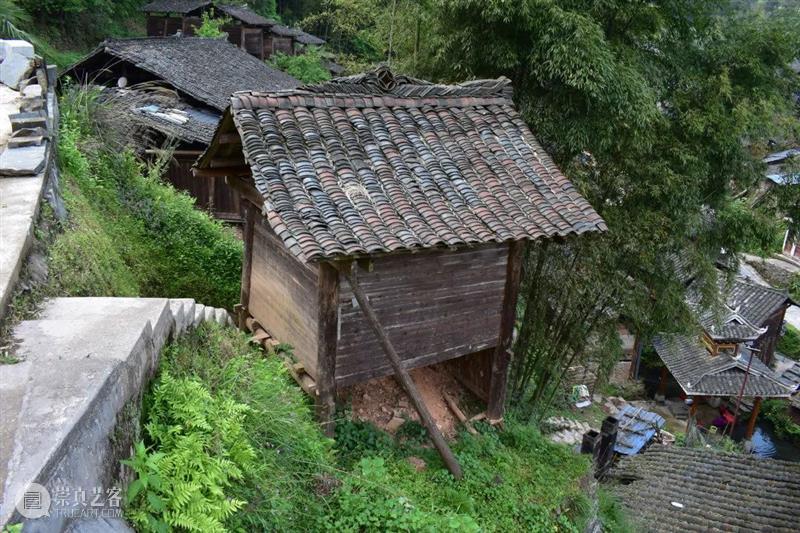 tm征集 | 百年禾仓，还有各种当代可能？ 崇真艺客