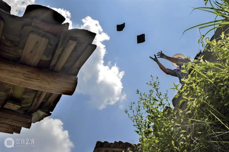 tm征集 | 百年禾仓，还有各种当代可能？ 崇真艺客