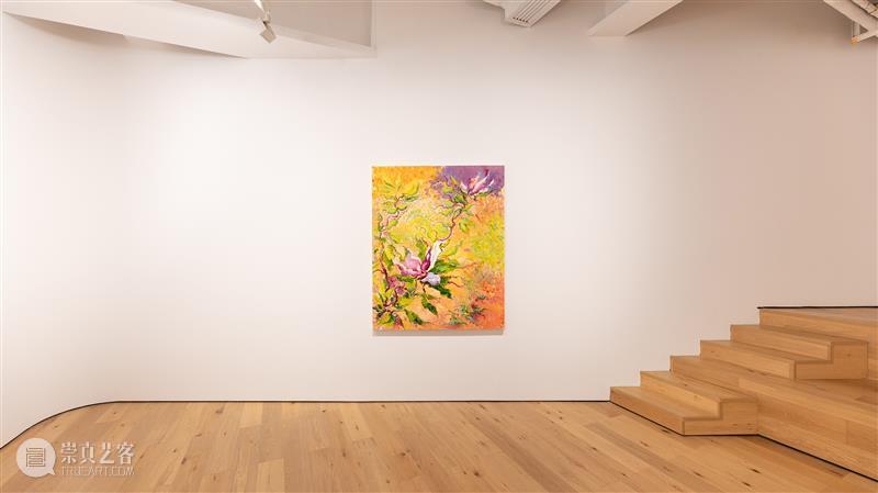 展览现场｜伍礼：禁果 崇真艺客