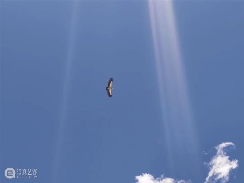 王澈：经常停下，频频凝住 视频资讯 艾斯奈呼 崇真艺客