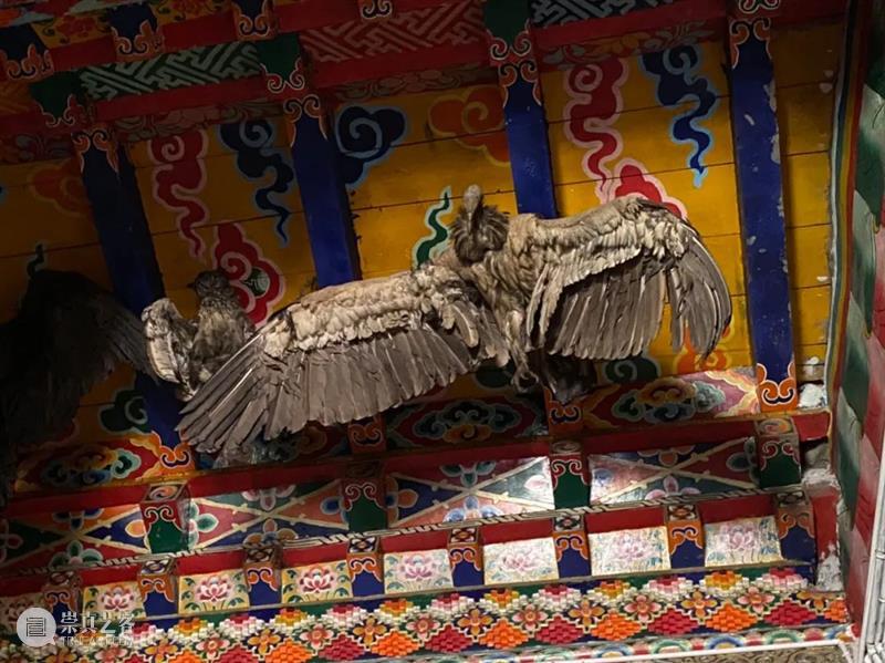王澈：经常停下，频频凝住 视频资讯 艾斯奈呼 崇真艺客