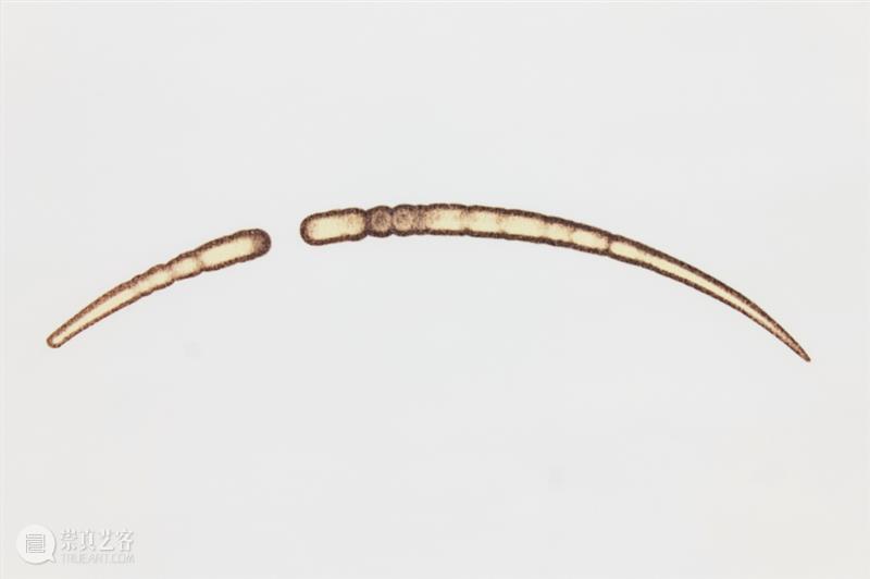 KennaXu画廊 | 「史鉴未来」参展艺术家郝经芳&王令杰（Hao Jingfang&Wang Lingjie） 博文精选 KennaXu画廊 崇真艺客