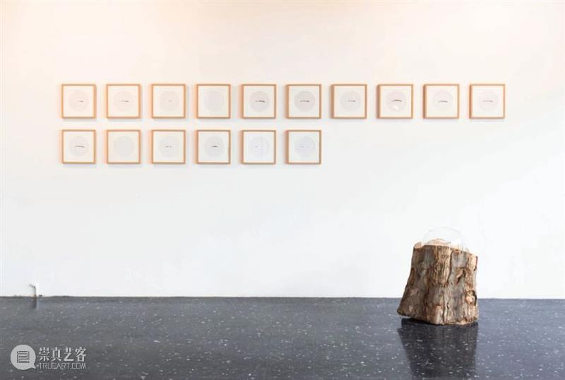 KennaXu画廊 | 「史鉴未来」参展艺术家郝经芳&王令杰（Hao Jingfang&Wang Lingjie） 博文精选 KennaXu画廊 崇真艺客