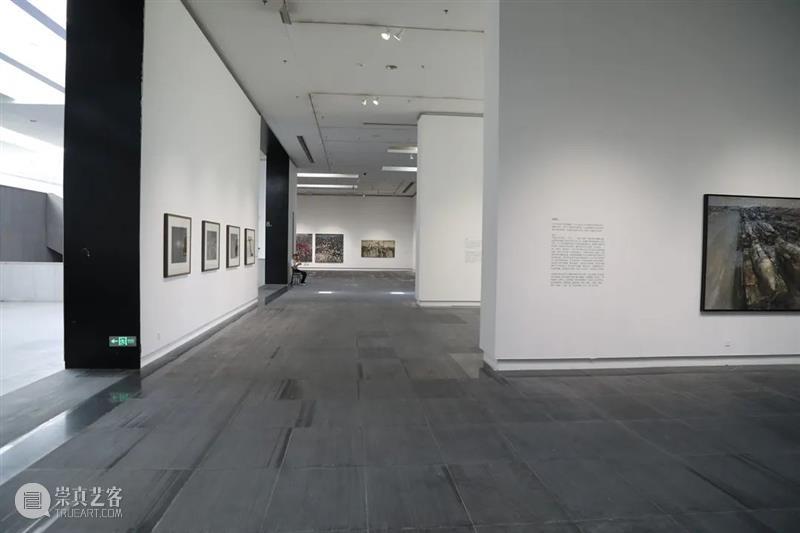 展览现场 | 开放的课堂系列展:生命的风景——来自学院的八人绘画探索展 崇真艺客