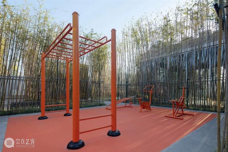 设计未来丨城市更新：照进大湾区的“微光” 崇真艺客
