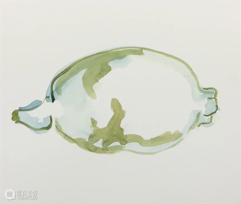 里克力·提拉瓦尼：给我自己的建议 博文精选  GLADSTONE格莱斯顿画廊 崇真艺客