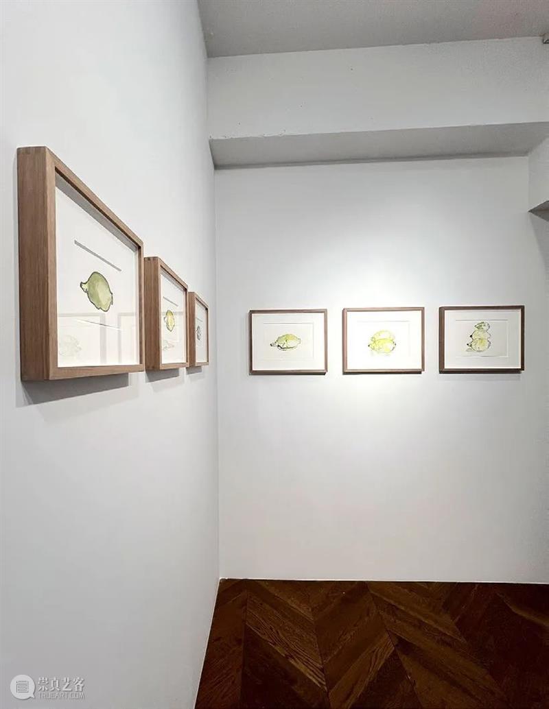 里克力·提拉瓦尼：给我自己的建议 博文精选  GLADSTONE格莱斯顿画廊 崇真艺客