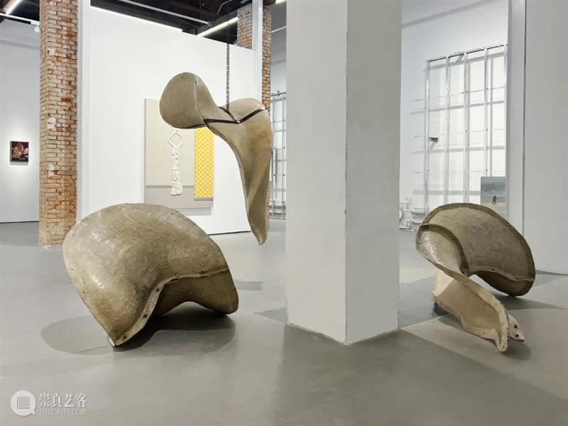 展览现场 ｜ 新氧艺O2art 798新空间开幕展「旷野之途 2022 Into the Wilderness」 崇真艺客