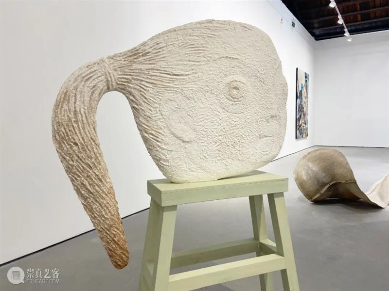 展览现场 ｜ 新氧艺O2art 798新空间开幕展「旷野之途 2022 Into the Wilderness」 崇真艺客