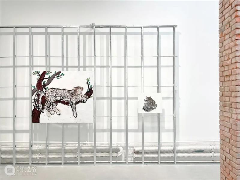 展览现场 ｜ 新氧艺O2art 798新空间开幕展「旷野之途 2022 Into the Wilderness」 崇真艺客