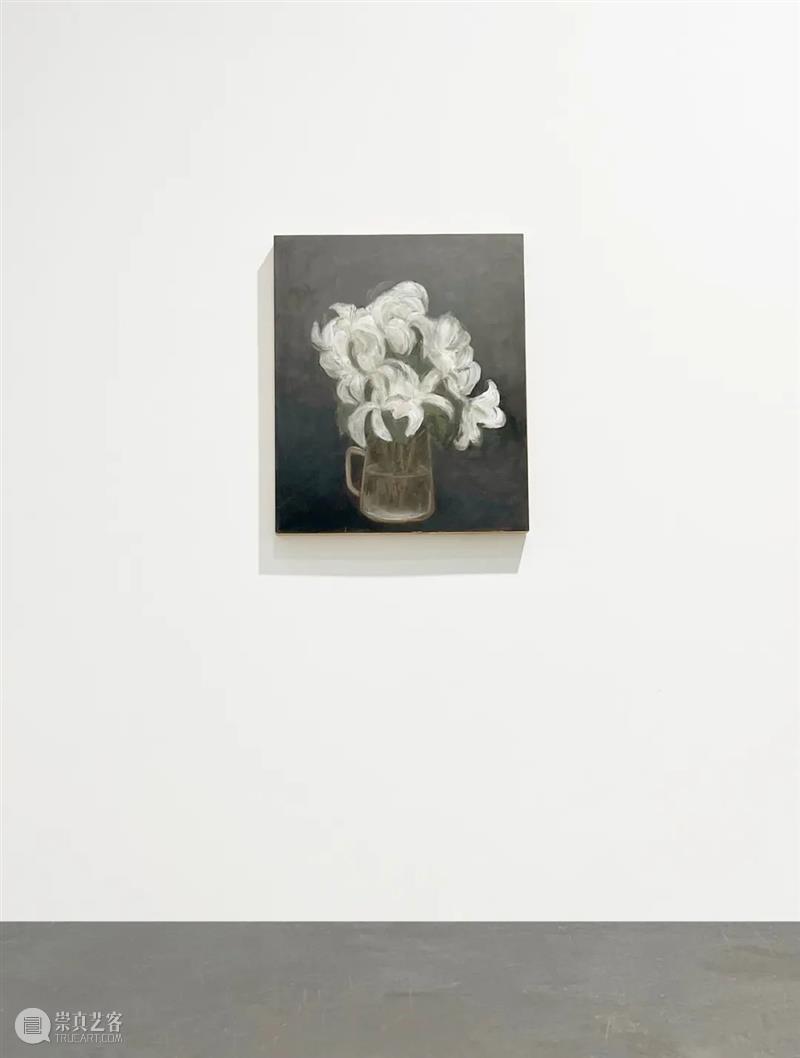 展览现场 | 新氧艺O2art 798新空间开幕展「旷野之途 2022 Into the Wilderness」 崇真艺客