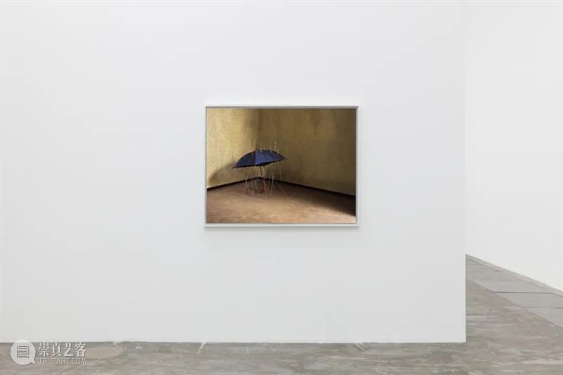香格纳北京 |《蹊径 3.0》展览作品聚焦 崇真艺客