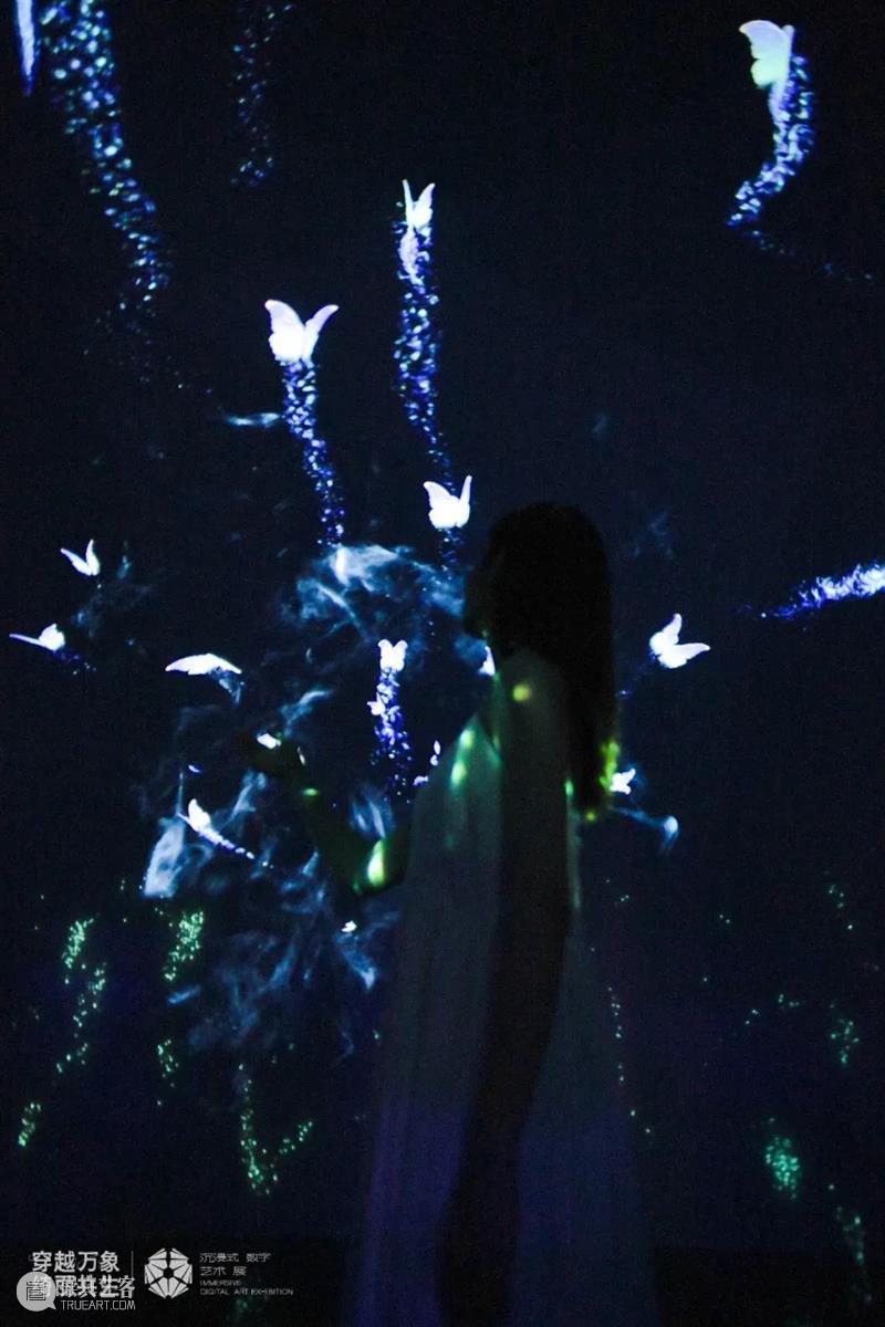 PLM展览 | 阴阳师授权· “穿越万象 绮丽共生”沉浸式数字艺术展福利放送！ 崇真艺客