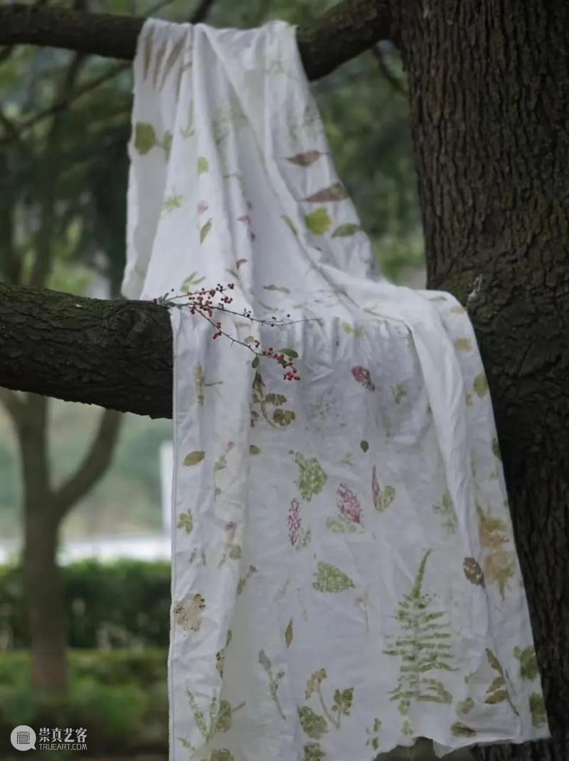 AM 非遗 | 万物皆可染——植物敲拓染体验工作坊 崇真艺客