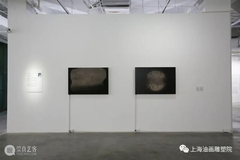 【上海油雕院｜作品赏析】“流变之境——当代女性绘画 · 长三角邀请展”（五） 崇真艺客