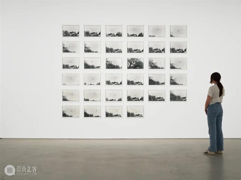 全球近二十场全新画廊展览，开启豪瑟沃斯金秋艺术之旅 崇真艺客