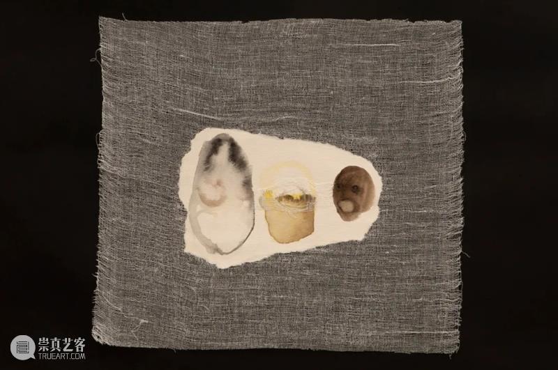 展览预告｜琥珀生琉璃/荒诞演绎——闫莉、张卓然纸本作品展 崇真艺客