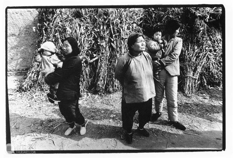 作品分享｜凌飞：艺术就是自由的 崇真艺客