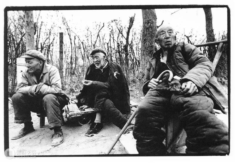 作品分享｜凌飞：艺术就是自由的 崇真艺客