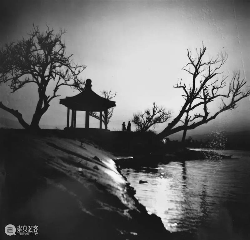 作品分享｜凌飞：艺术就是自由的 崇真艺客