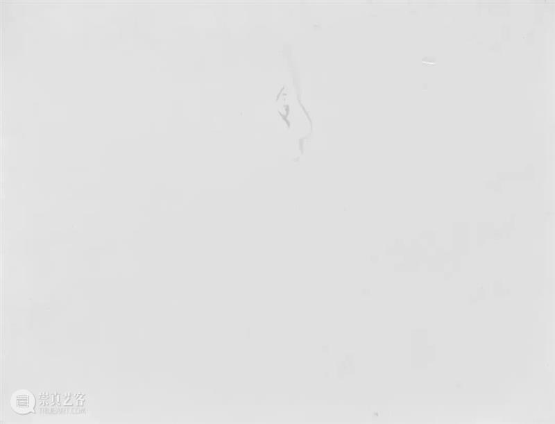 作品分享｜凌飞：艺术就是自由的 崇真艺客