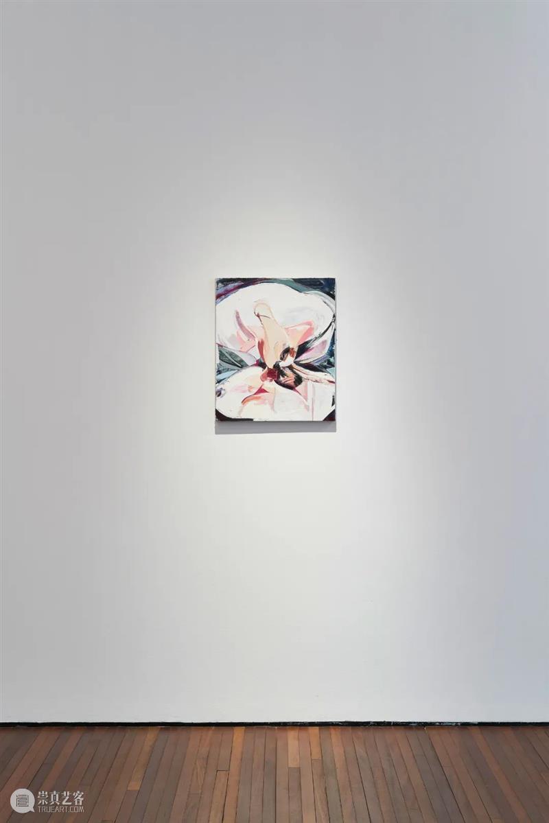 张子飘|幻想的瘟疫 崇真艺客