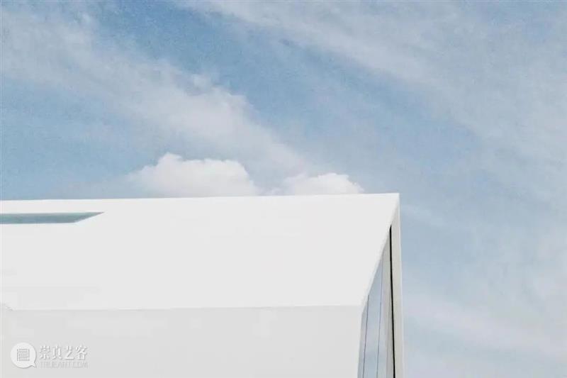 张子飘|幻想的瘟疫 崇真艺客