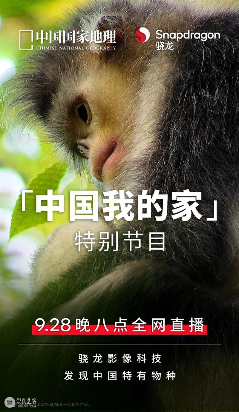 秦岭脚下看直播，“发现中国特有物种”系列纪录片来了！ 崇真艺客