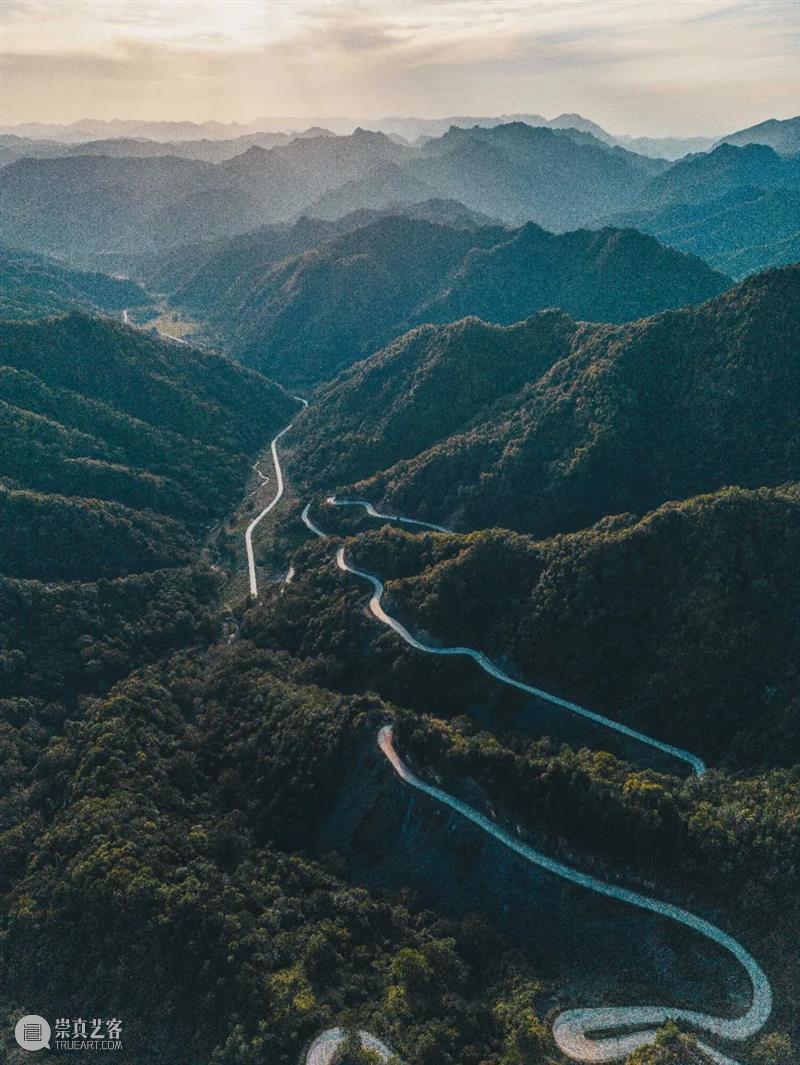 秦岭脚下看直播，“发现中国特有物种”系列纪录片来了！ 崇真艺客