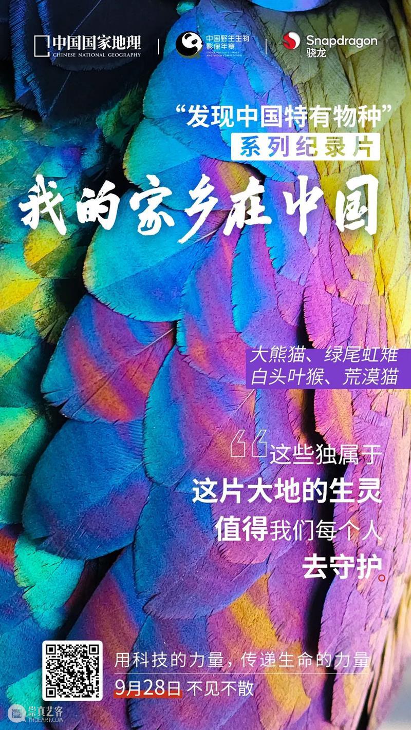 秦岭脚下看直播，“发现中国特有物种”系列纪录片来了！ 崇真艺客