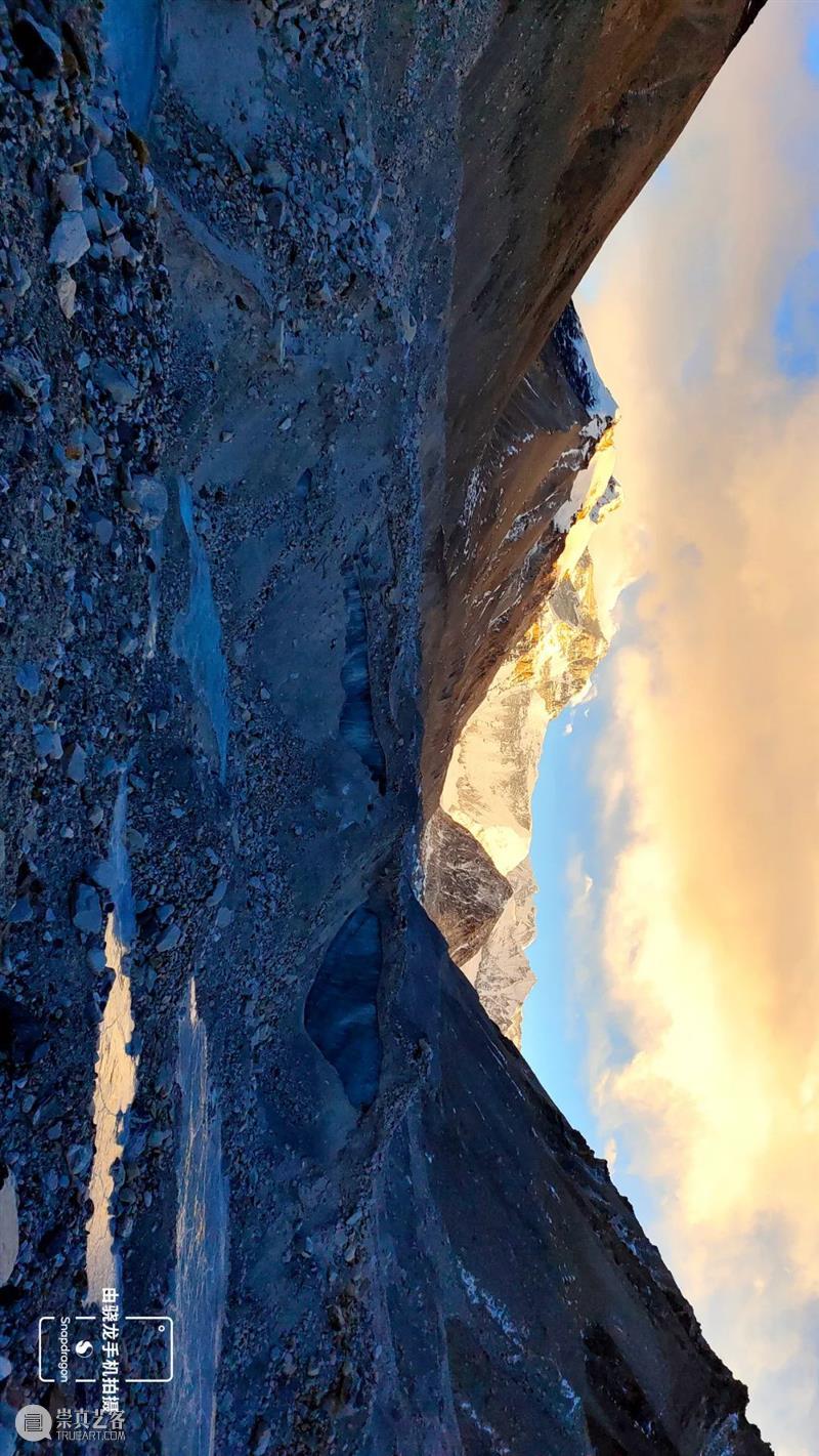 秦岭脚下看直播，“发现中国特有物种”系列纪录片来了！ 崇真艺客