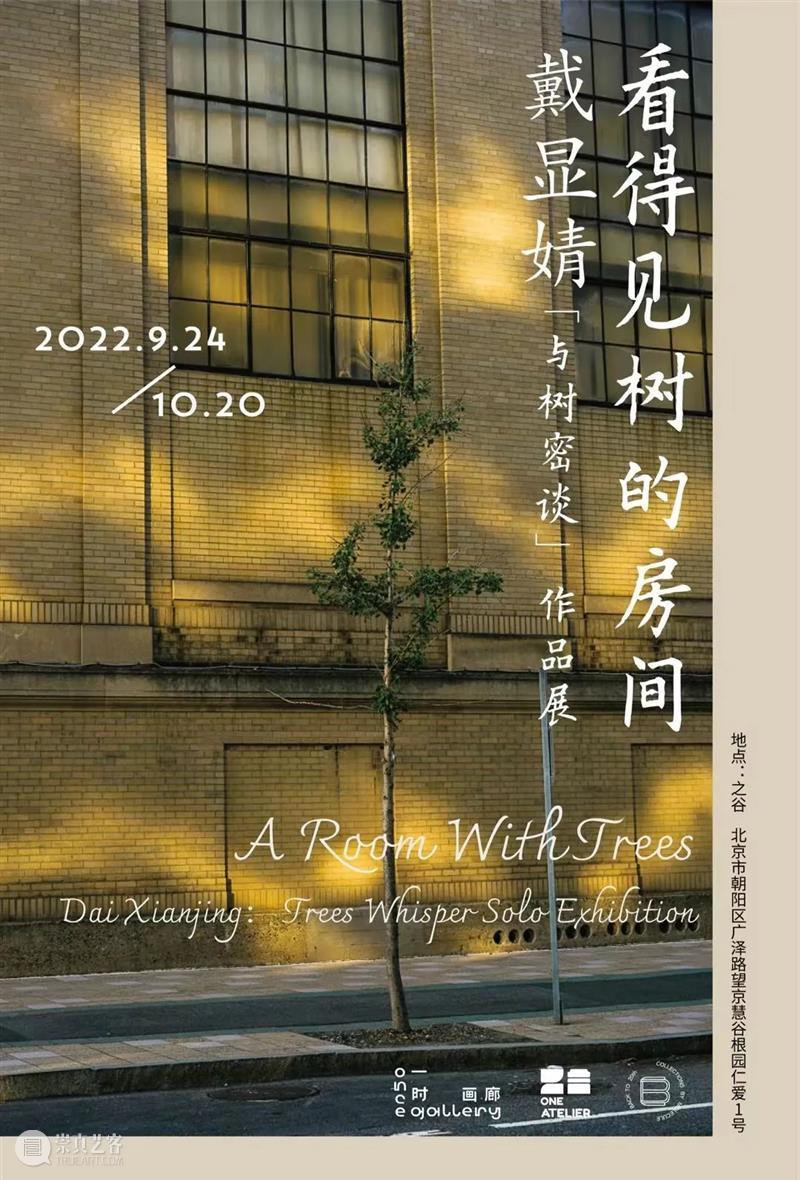 业界视角 | 十月全球影像艺术动态盘点 崇真艺客