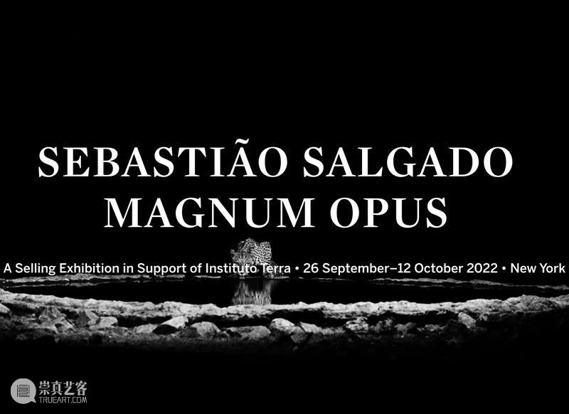 业界视角 | 十月全球影像艺术动态盘点 崇真艺客