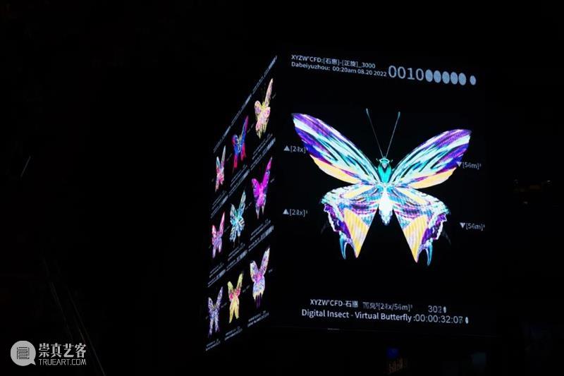 预告｜大悲宇宙虚拟蝴蝶认领活动即将入驻「X·超体都市」！ 崇真艺客